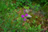 unterwegs in Albanien