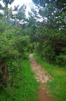 Wandern im Llogora Nationalpark