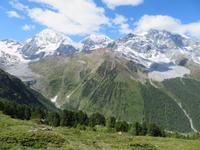 Ortler vom Rosimboden