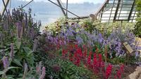 Eden Project 20180621 111820