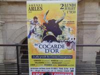 Stierspiele in Arles