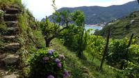 Wanderwege