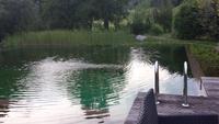 unser kleiner Naturbadesee im Garten des Hotels Christel