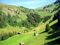 Seilbahn- Fahrt zum First