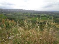 Blick von Les Baux