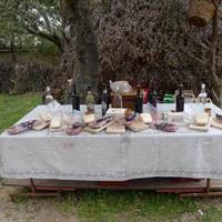 Barbagia u. Orgosolo 