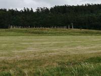 Steinschiff von Blomsholm