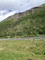 Dovrefjell Nationalpark