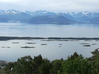 Stadtberg Varden Molde