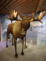 Skimuseum Holmenkollen in Oslo