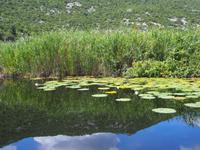 Neretva Delta