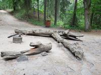 Baltikum, Litauen, Kurische Nehrung, Hexenberg