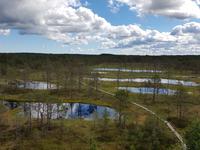 Baltikum, Estland, Lahemaa NP