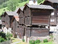 Niederwald im Goms