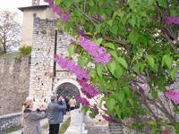 Castel Noarna