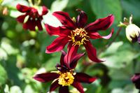 0625 Knighthayes Court