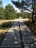 Auf der Grossen Duene