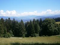 Blick vom Pfänder auf die Lechtaler Alpen in der Ferne