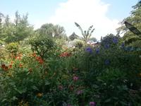 Mainau, Blumenrondell