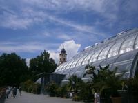 Das Palmenhaus von außen mit Turm der Schloßkirche