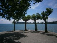 Am Ufer der Insel Mainau