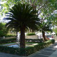 P1190586.,Mallorca (15)