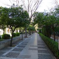 P1190586.,Mallorca (16)