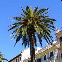 P1190586.,Mallorca (22)