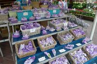 P1210003 Nizza u. Monaco (4)