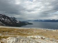Lyngenfjord