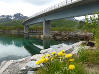 Mittagspause am Austnesfjord