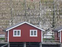 Svolvaer - Stockfischgestell