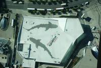 Blick vom CN Tower