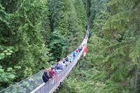 Capilano Hängebrücke in 75m Höhe