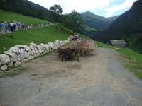 Wildpark Aurach
