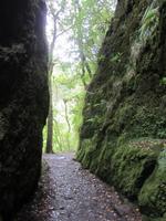 Entlang der levada Furado