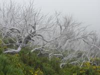 Fast mystisch stehen die Erinnerungen an den verheerenden Brand von 2010 an den Berggipfeln