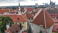 Die Lokalbevölerung Tallinns im Vordergrund