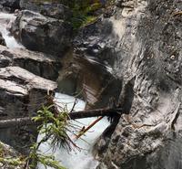 Maligne Schlucht