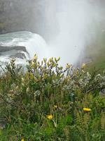 051 Reykjavik - Gulfoss-Wasserfall