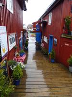 174 Lofoten - Fischerdorf Henningsvaer