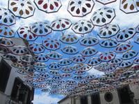 Camara de Lobos -  Sao Pedro Feierlichkeiten