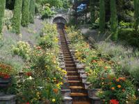 Insel Mainau