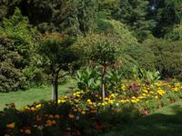 Insel Mainau