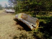 Eine Holzbank