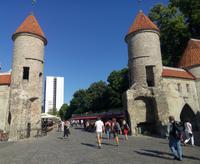 Stadteingang Tallin