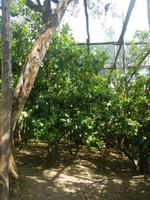 Agricultura