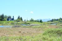 Thingvellir Nationalpark