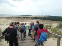 Baltikum, Litauen, Kurische Nehrung, Hohe Düne