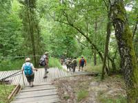 Baltikum, Litauen, Kurische Nehrung, Hohe Düne